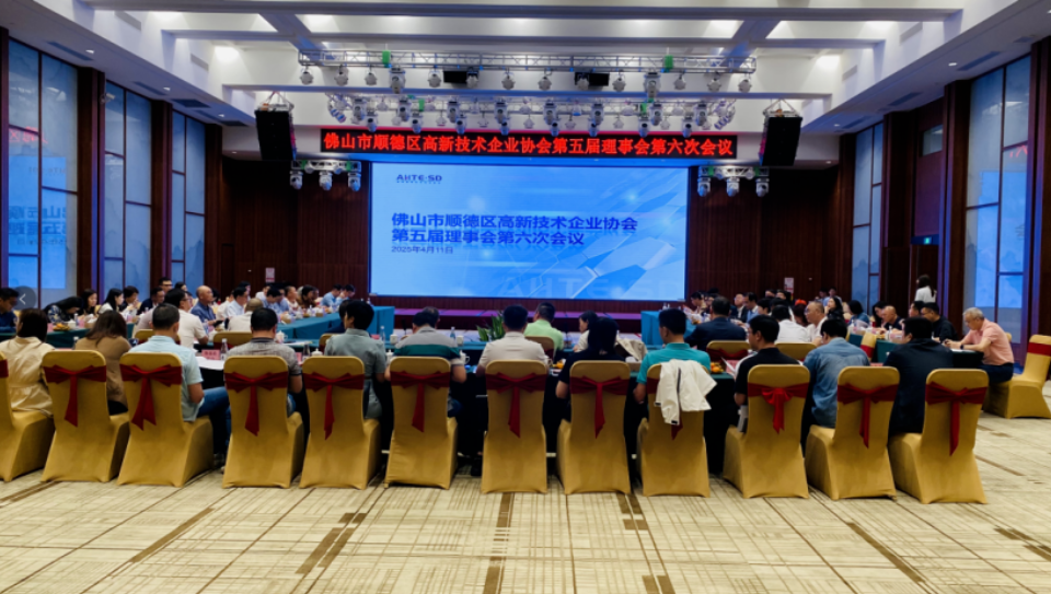 协会第五届理事会第六次会议圆满结束!